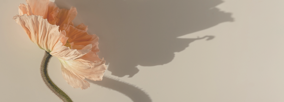 Little School of Reiki