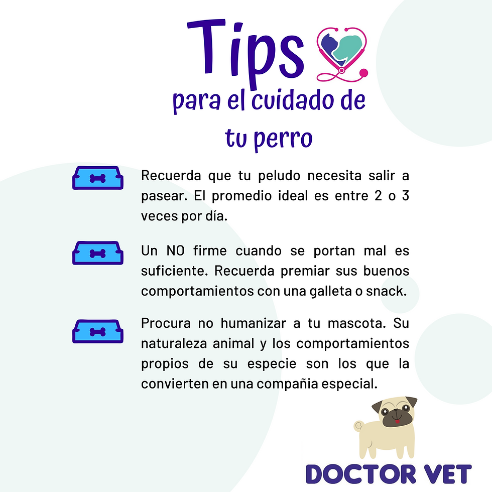 UN PERRO EDUCADO ES UN PERRO SANO