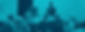 Equis_Advanced RSU_Teal.png