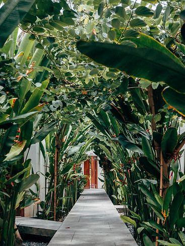 vertical-shot-concrete-pathway-with-green-plants-sides.jpg
