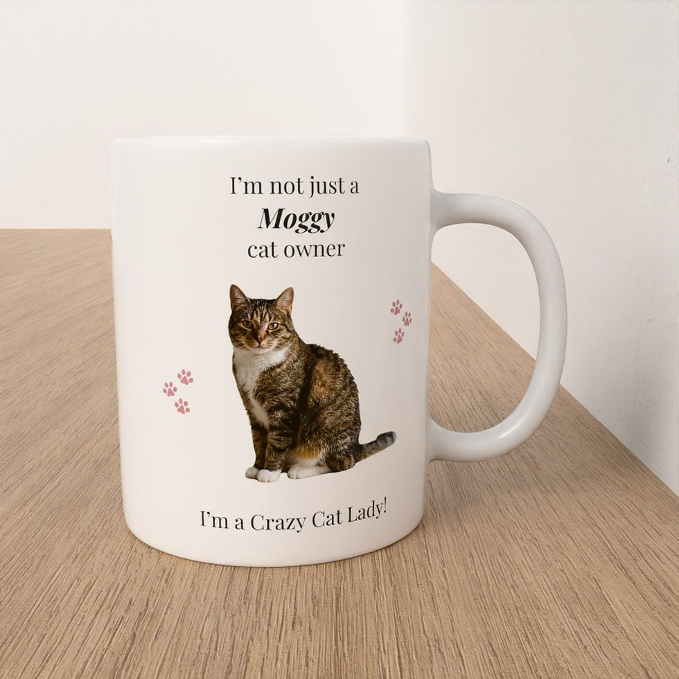 Moggy1.jpg