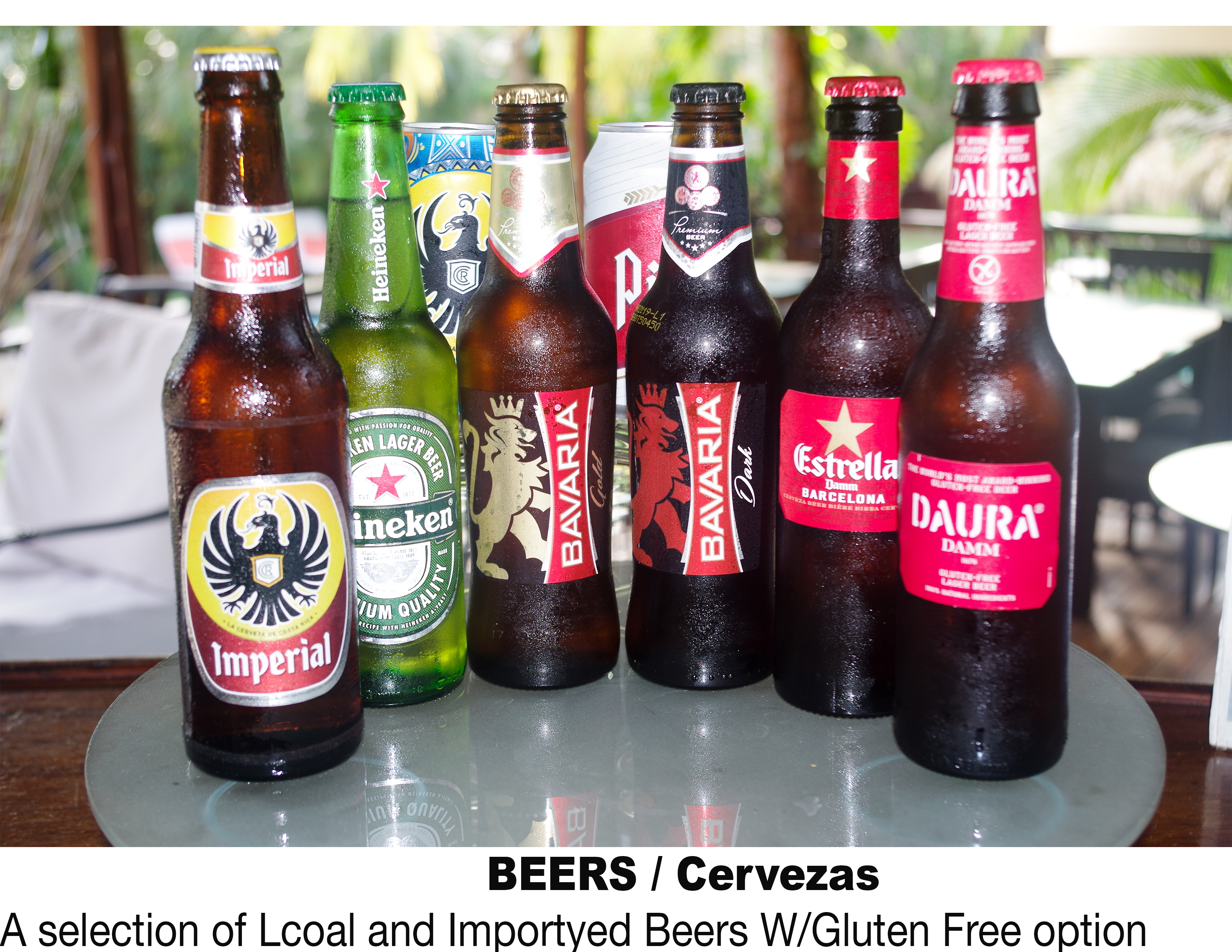 Arranged Food and Objects