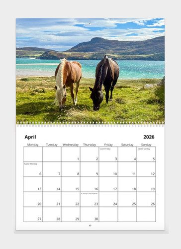 Calendário De Parede The Spirited Horse 2024, Calendário Animal De 16