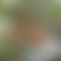 ペルーマチュピチュが再入荷しました！