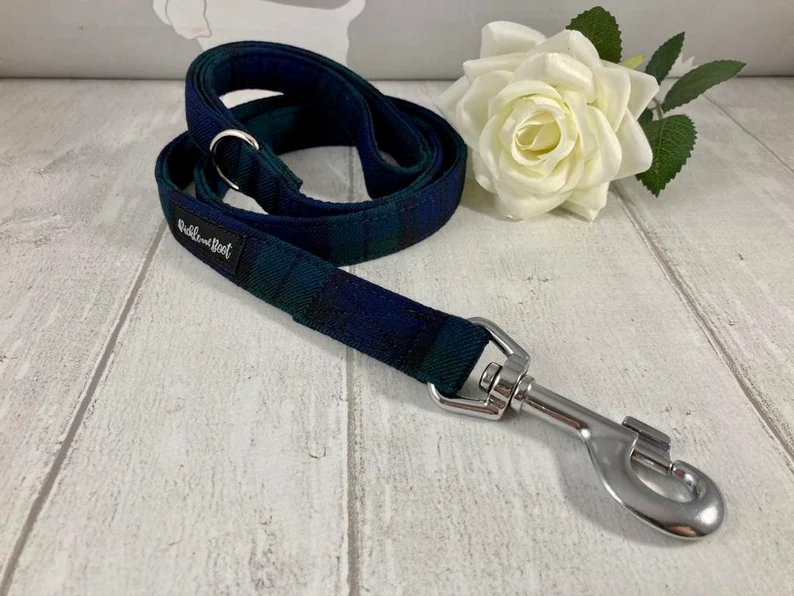 Thumbnail: Blue and Green Tartan Dog Lead | Traffic Lead |