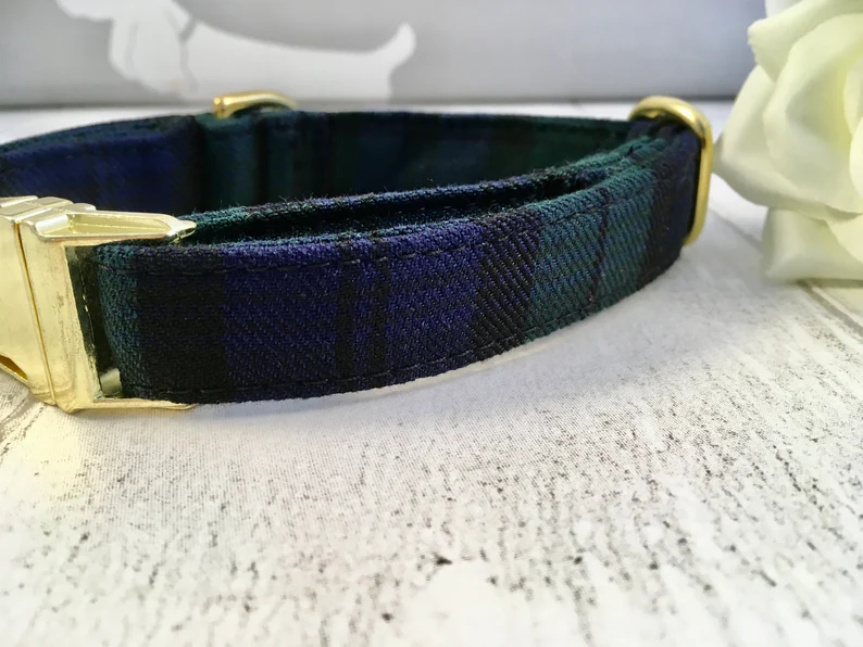 Thumbnail: Blue and Green Tartan Dog Collar | Blue and Green Tartan Dog Collar and Lead