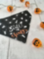 Thumbnail: Dog Bandana | Cat Bandana | Halloween Dog Bandana | Halloween Cat Bandana | Dog