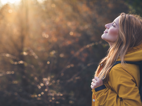 What in the World is Redox Function—and How Do I Know if Mine Needs Help?