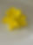 IMG_9363.jpeg
