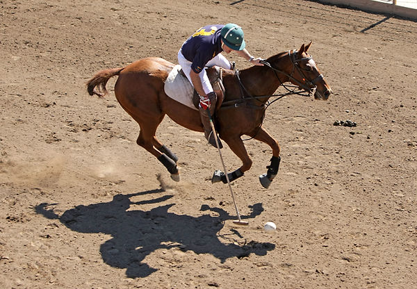 Poway Military Polo