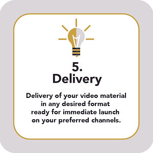 Video production delivery