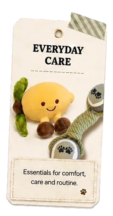 Everyday care: essentials for comfort, care and routine