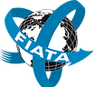 International Delivery Service Freight
