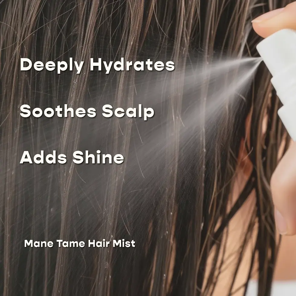 Mane Tame leave-in hair mist benefits infographic view