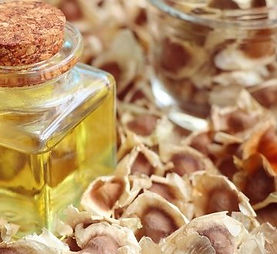 Moringa_oil