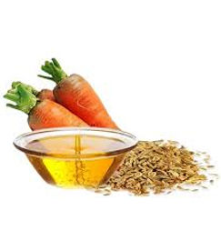 Carrot-Seed-Oil