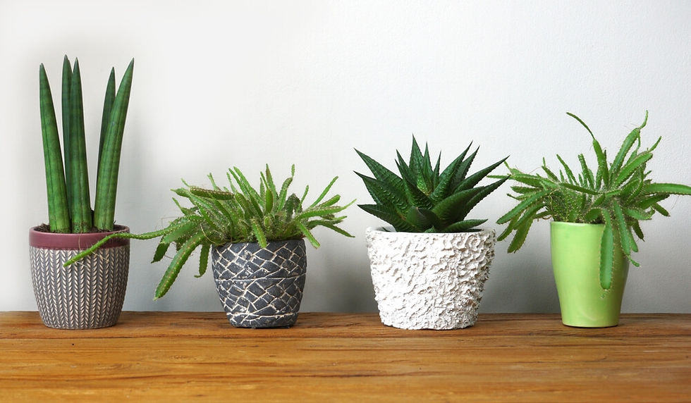 What Are The Benefits Of Retailing Sustainable Gardening Products