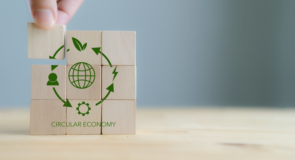 Key Components of the Sustainable Products Industry
