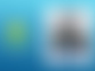 Forum degli Aviatori d’Italia n. 140, Notiziario della Sezione A.A.A. - Aviatori d’Italia di Fidenza