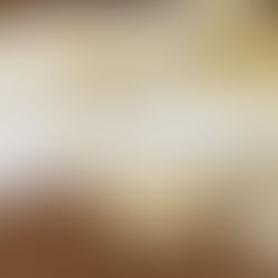 The Postal Service presses forward with unpopular plan to slow some mail delivery