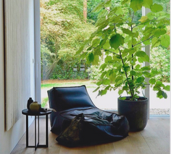 copyright: milesstudio.agency