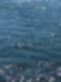 6C250313-0AD3-4A2E-894C-F6B1C8D4F5EC_1_105_c.jpeg