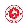 Punjab United Logo 2020 updated-01 (1).png