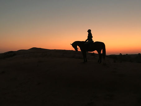 My dream of horseback riding trough the desert finally came true. It was even more beautiful than im