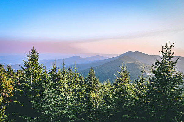 view-of-mount-mitchell.jpg