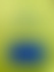 La vida de la Madre Maria Ignacia González