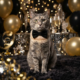 Ultra-realistic pet posing proudly on a plush dark rug in an elegant black-and-gold New Year’s Eve setting, wearing a sophisticated bow tie or metallic collar accessory and surrounded by balloons, reflective party décor, and warm fairy lights.