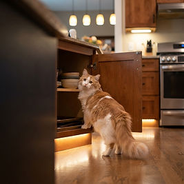 Ultra-realistic curious pet caught investigating an open lower kitchen cabinet, with its front half inside the cabinet and its head turned back toward the camera as warm kitchen lighting surrounds the scene.