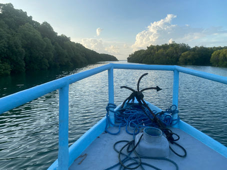 3: The lagoon of the lazy jellyfish … and the wisdom of EM