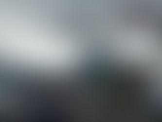 3. In the rain forest: Holidaying like the land people do