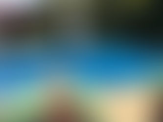 4. The Sand Yeti, the Pelly, and the poo…