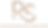 RS logo_edited.png