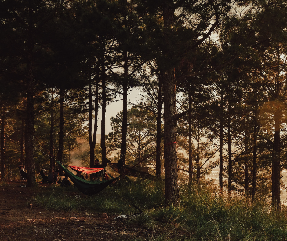 My Scary Camping Story - Screams While Camping at Lost Maples State Park