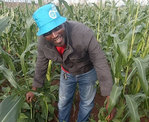  Food Security in Malawi South (4).jpeg