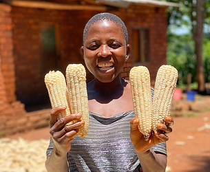  Food Security in Malawi South (2).jpeg