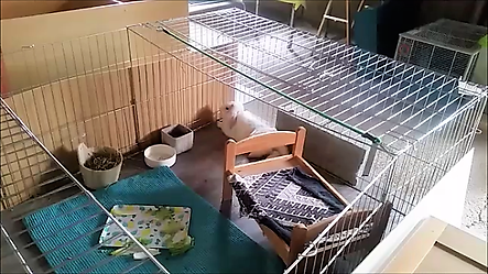 Instantané 14 (10-11-2018 20-03).png