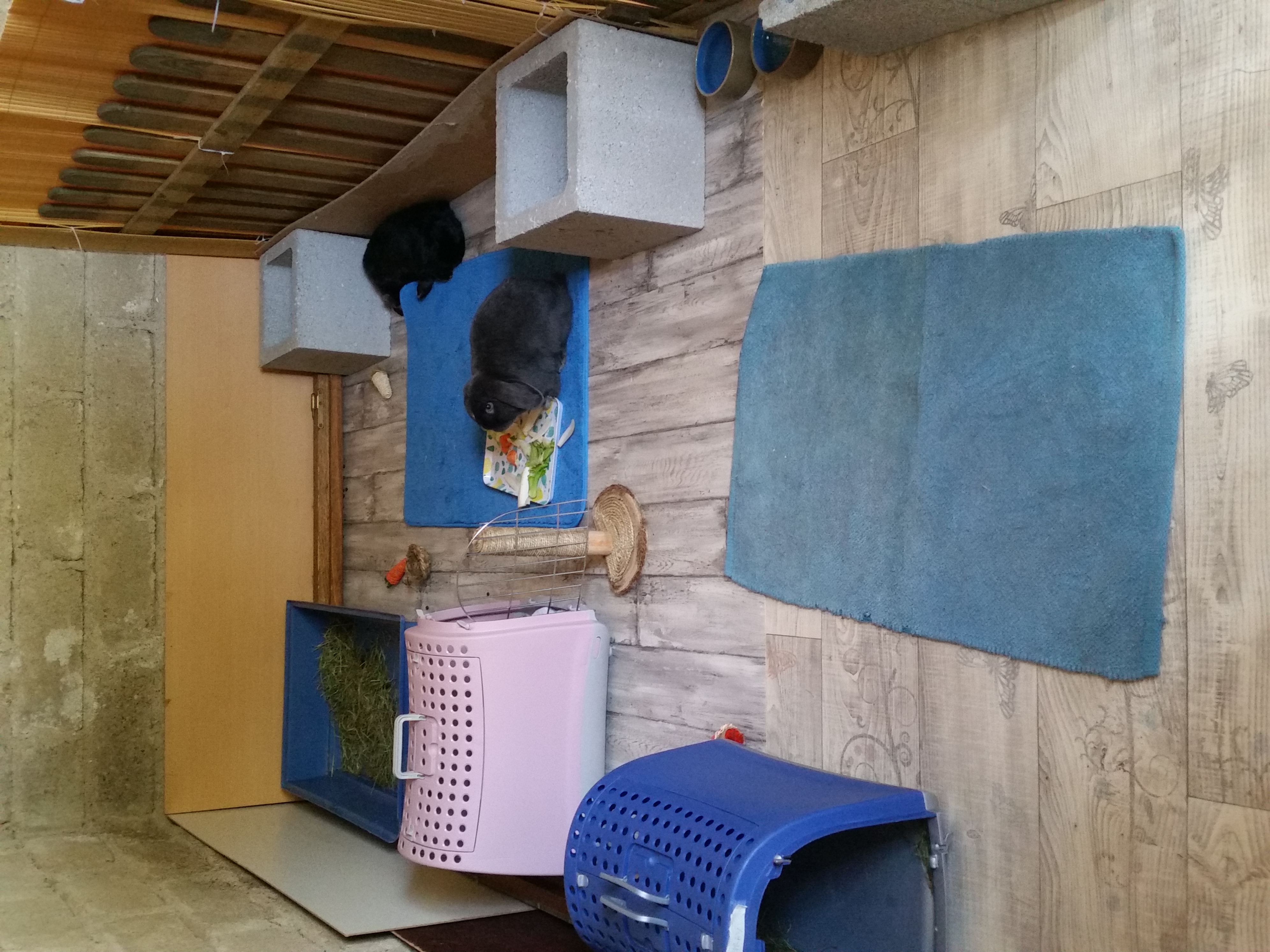 Milka et Bounty dans le Double Suite