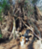 21231892_10213903334839618_6102883701934791113_n