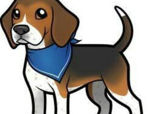 Beagle Landscaping