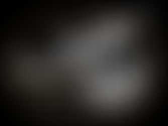 Phoenix Taekwon-do & Korean Kickboxing Renfrewshire logo