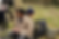 PIcture for Landing Page II.png