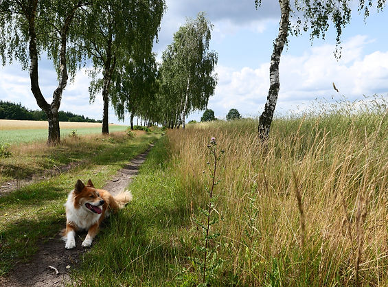 Mona-Heideweg-2.jpeg