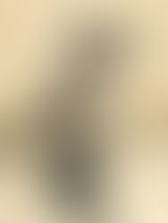 Lunch Ladies Display Awards From Women In Horror, Austin Revolution, Fargo And NOLA Horror