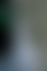 Lunch Ladies Flabbergasted - Get A+ From Film Threat Without Cheating - Check Into Mental Hospital