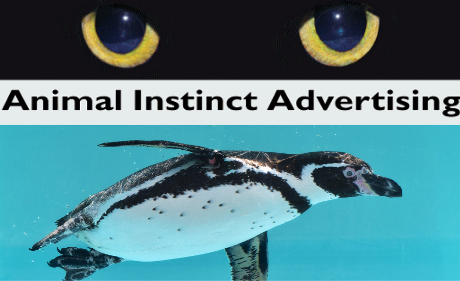 Client Spotlight: Animal Instinct Advertising