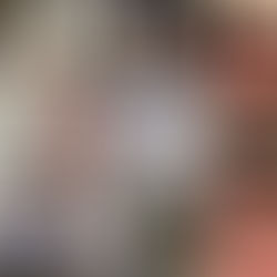 Lunch Ladies Start Hairnet Club - First 25 To Sign Up Get Free Hairnet